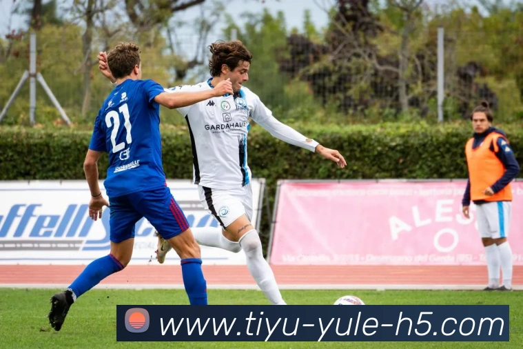 乐鱼体育平台生态图