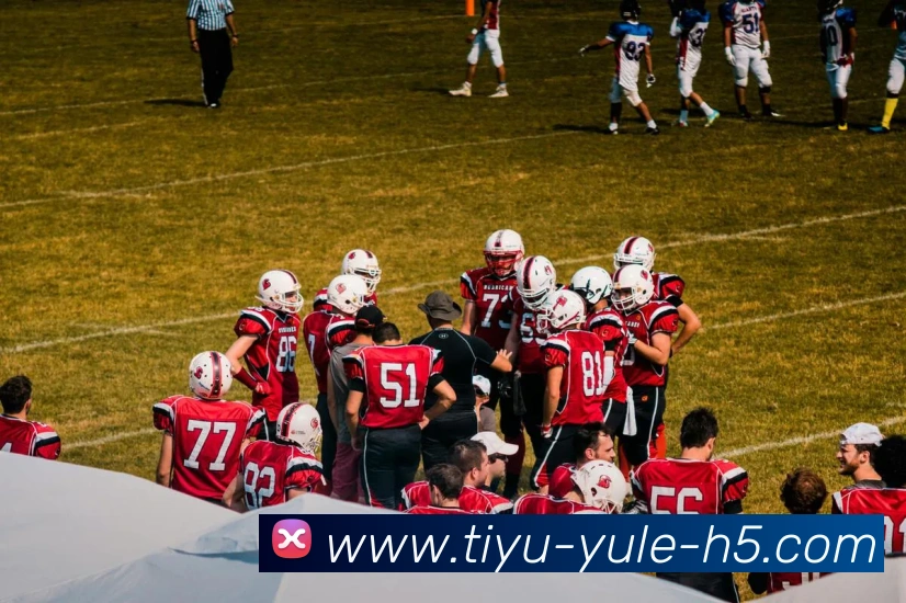 乐鱼体育APP 封面图